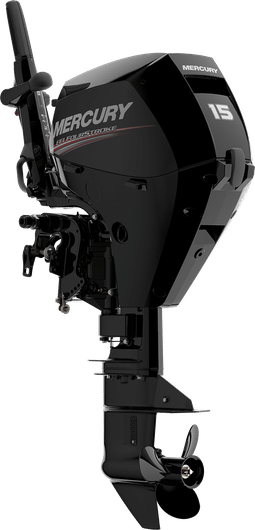 Mm fs 15hp w tiller port 3 4. Png  255x0 q85 autocrop crop scale subsampling 2 upscale